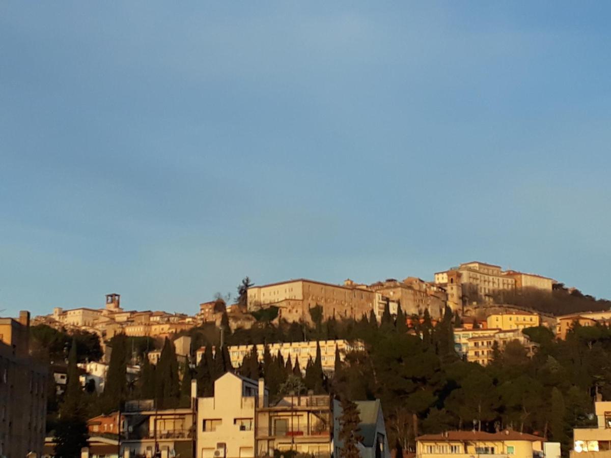Appartamento Elite *